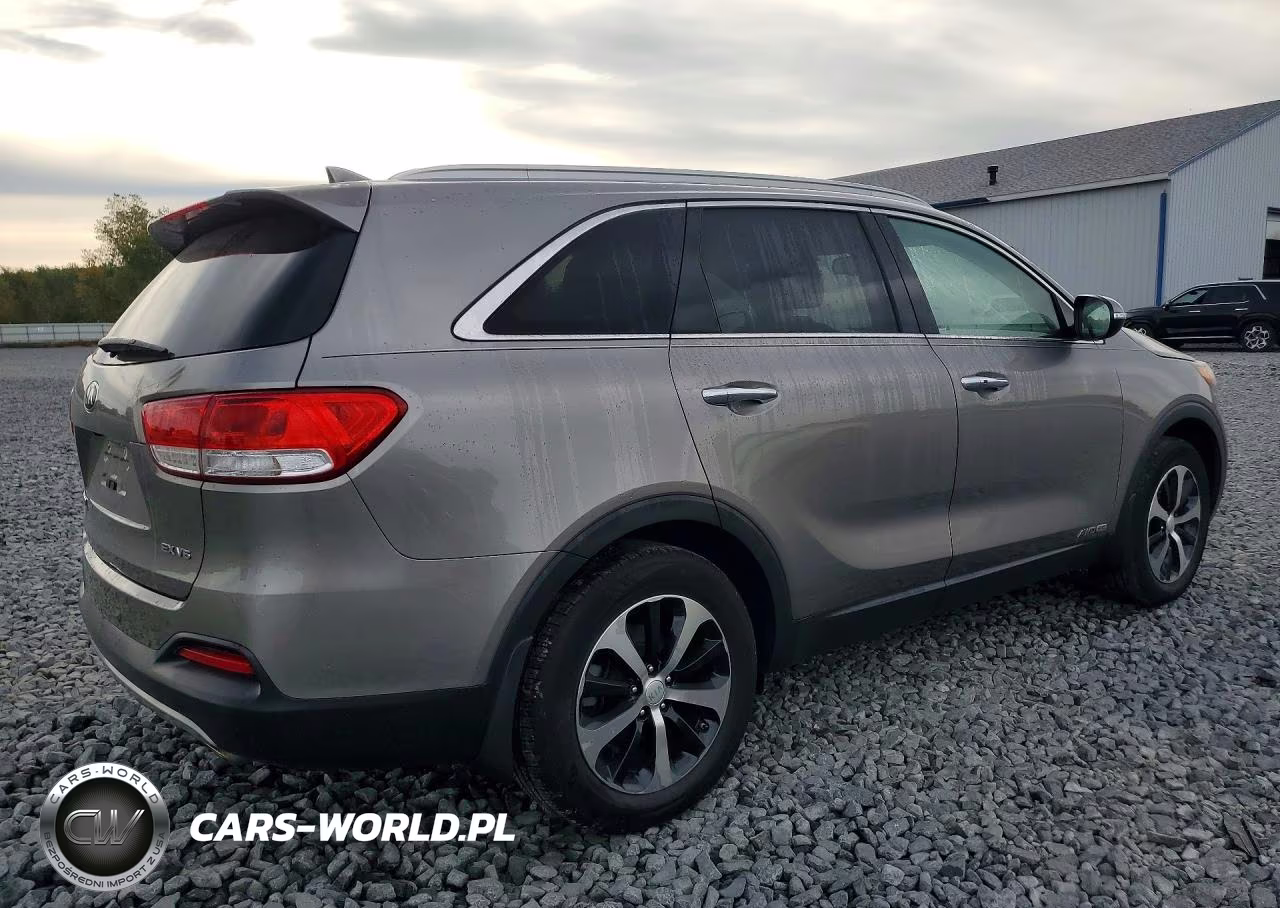 2017 Kia Sorento Ex VIN:5XYPHDA59HG299695 - 3