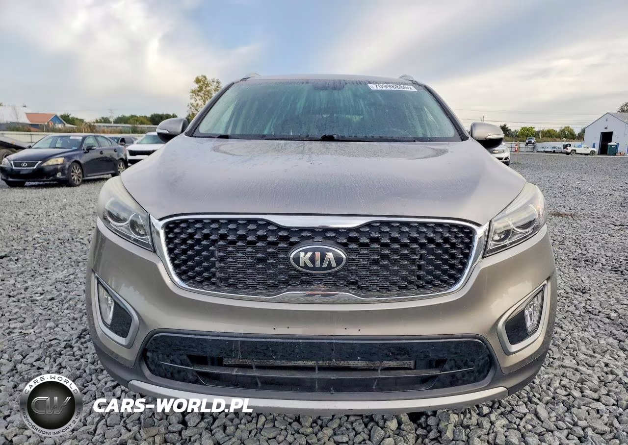 2017 Kia Sorento Ex VIN:5XYPHDA59HG299695 - 5