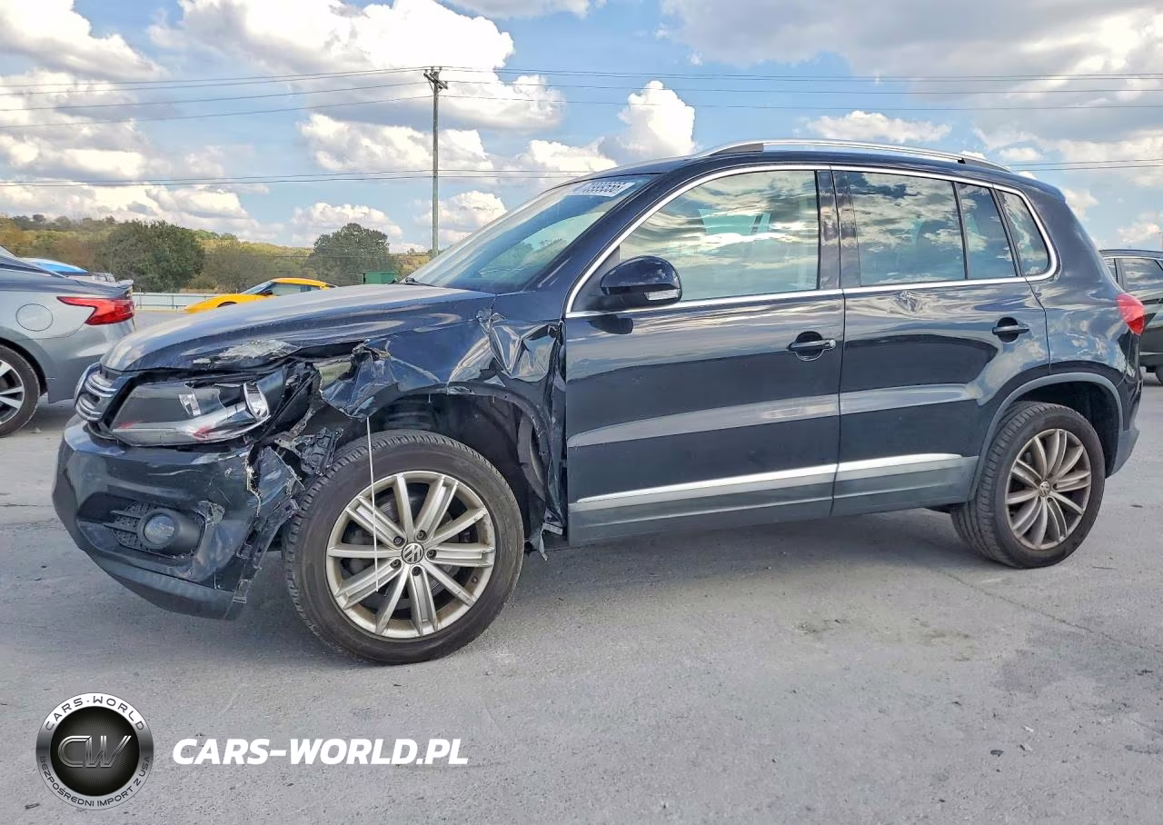 2014 Volkswagen Tiguan S VIN:WVGBV3AX3EW516439 - 1