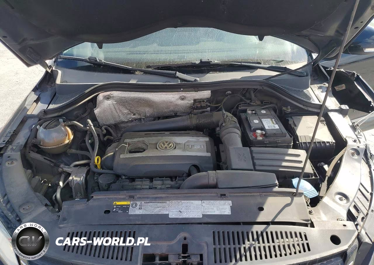 2014 Volkswagen Tiguan S VIN:WVGBV3AX3EW516439 - 12