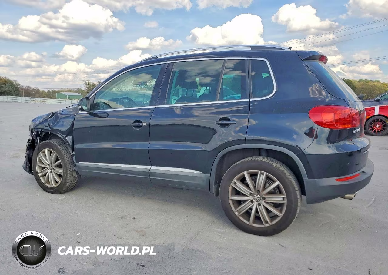 2014 Volkswagen Tiguan S VIN:WVGBV3AX3EW516439 - 2