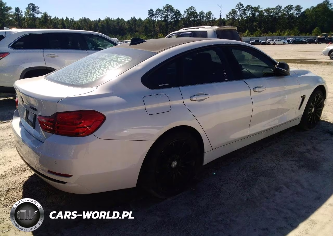 2015 BMW 428 Xi Gran Coupe Sulev VIN:WBA4C9C54FD331201 - 3