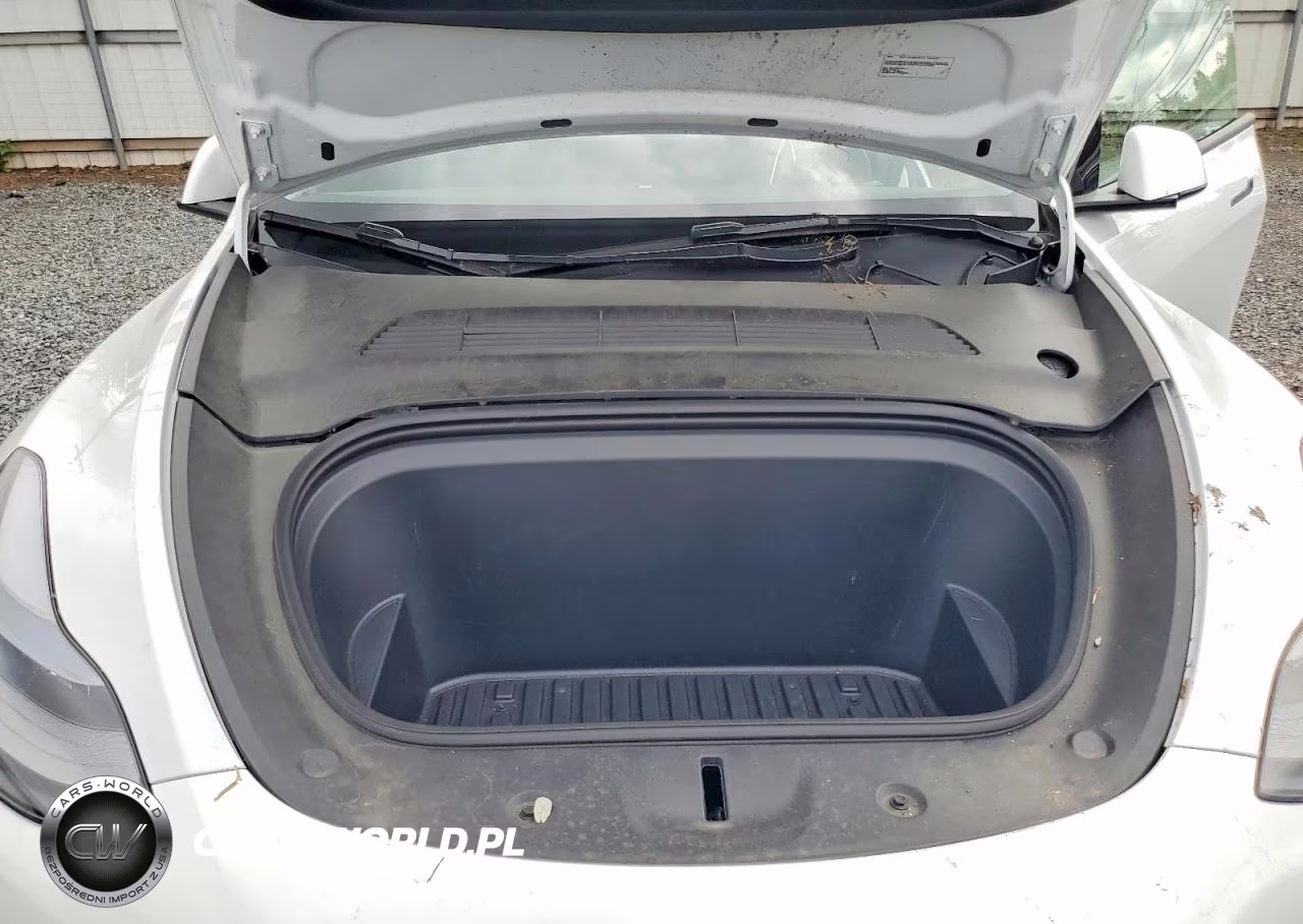 2023 Tesla Model Y VIN:7SAYGDED4PF933951 - 12