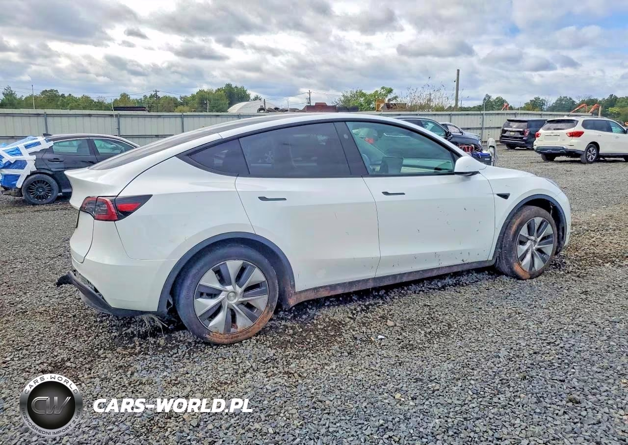 2023 Tesla Model Y VIN:7SAYGDED4PF933951 - 3