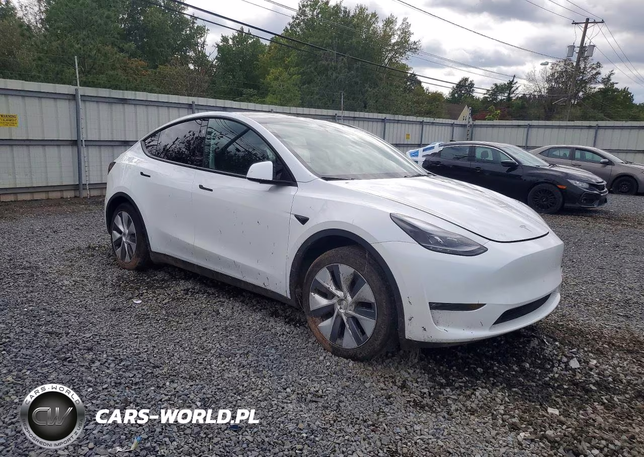 2023 Tesla Model Y VIN:7SAYGDED4PF933951 - 4
