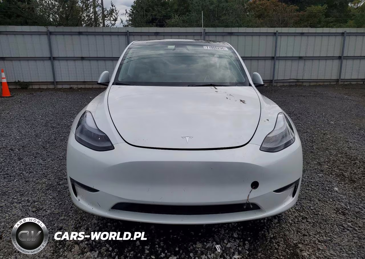 2023 Tesla Model Y VIN:7SAYGDED4PF933951 - 5