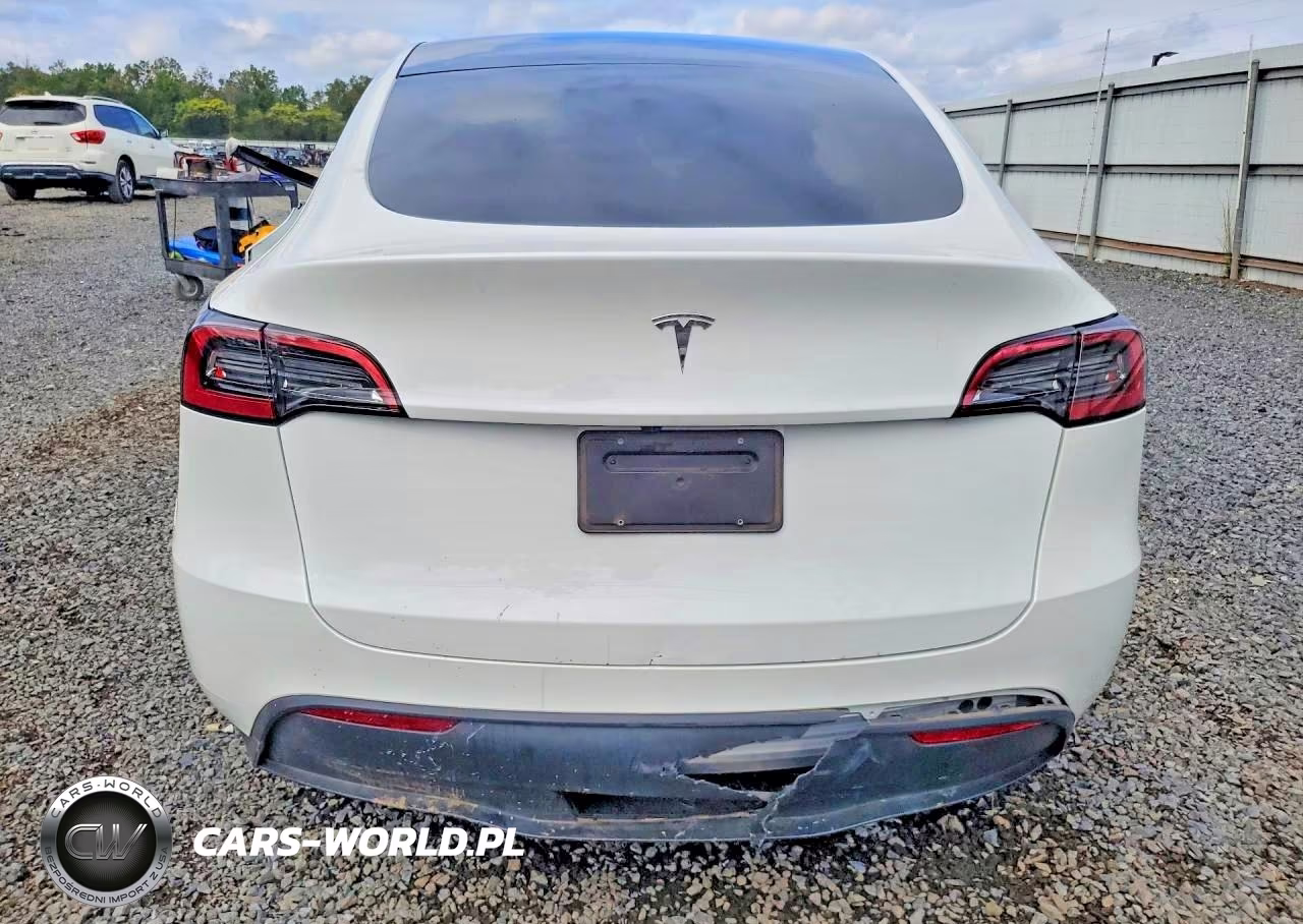 2023 Tesla Model Y VIN:7SAYGDED4PF933951 - 6