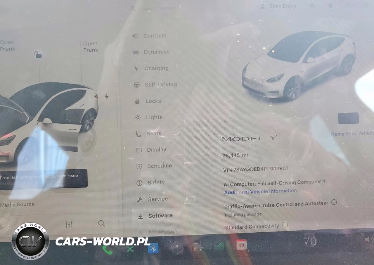 2023 Tesla Model Y VIN:7SAYGDED4PF933951 - 9