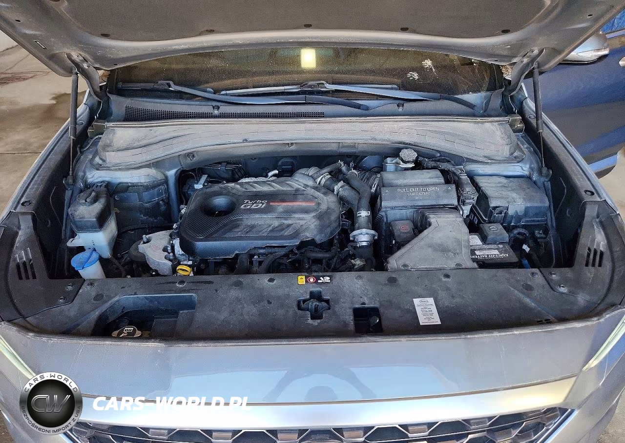 2019 Hyundai Santa Fe Limited 2.0T VIN:5NMS5CAA3KH104181 - 12