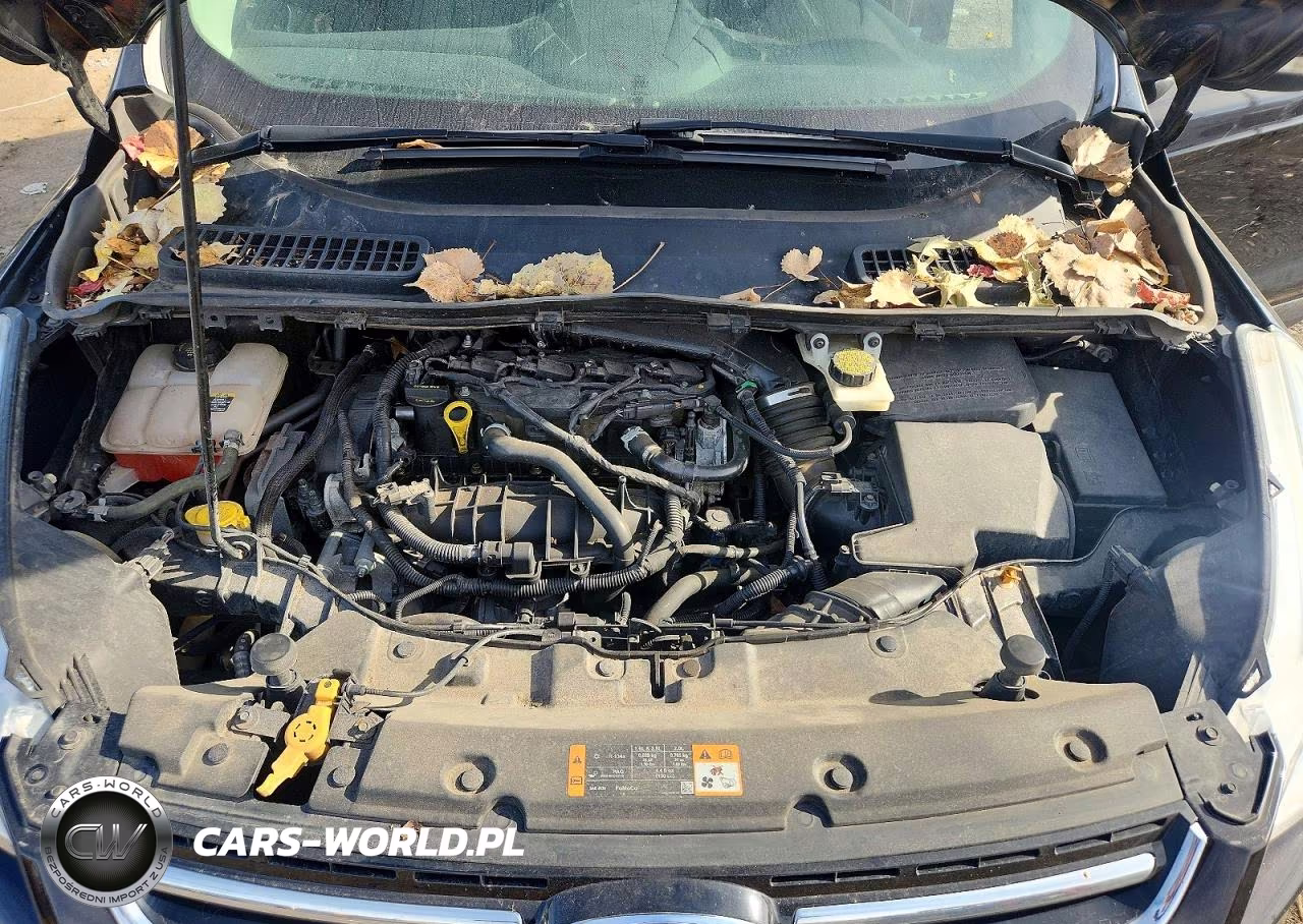 2013 Ford Escape Sel VIN:1FMCU9HX3DUB53456 - 11