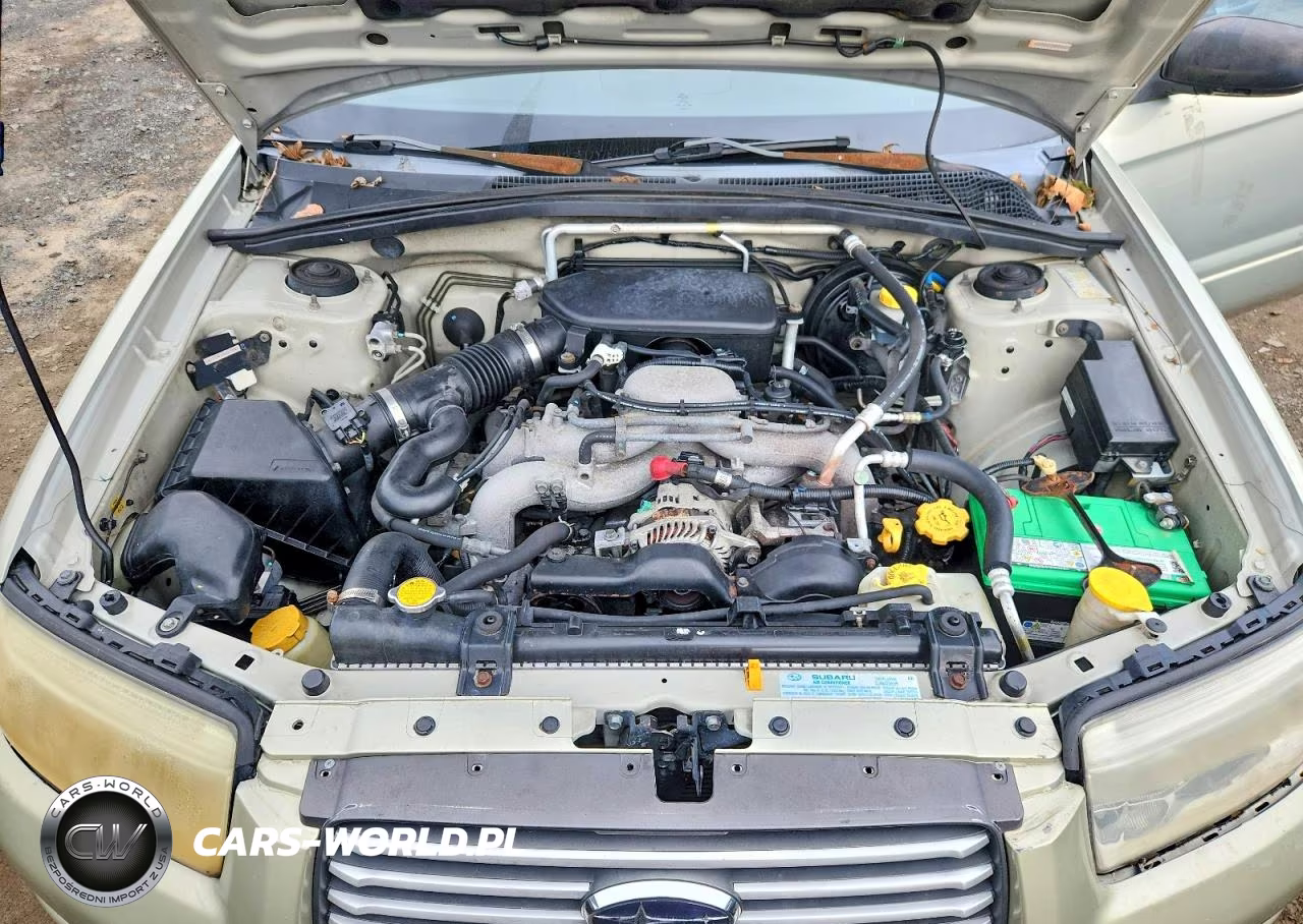 2006 Subaru Forester 2.5X VIN:JF1SG63626H735019 - 12
