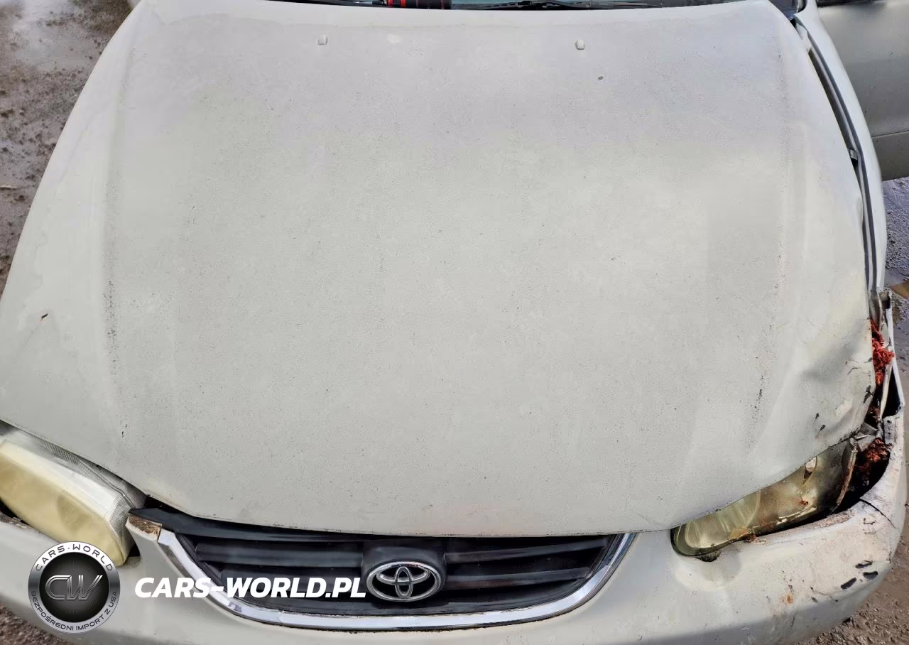 2002 Toyota Corolla Ce VIN:1NXBR12E82Z580795 - 11