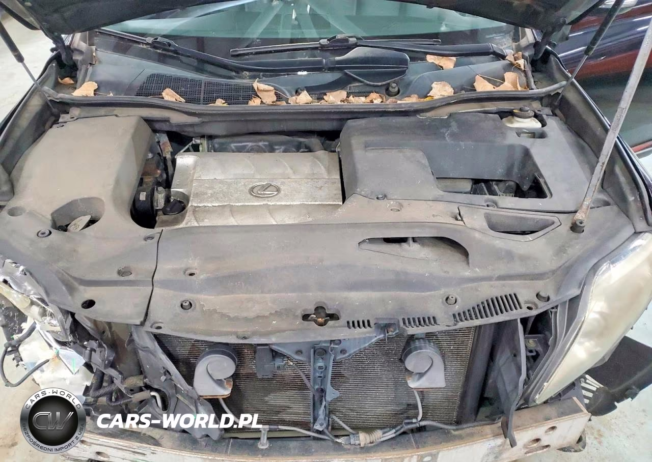 2010 Lexus Rx 350 VIN:2T2BK1BA1AC001188 - 12