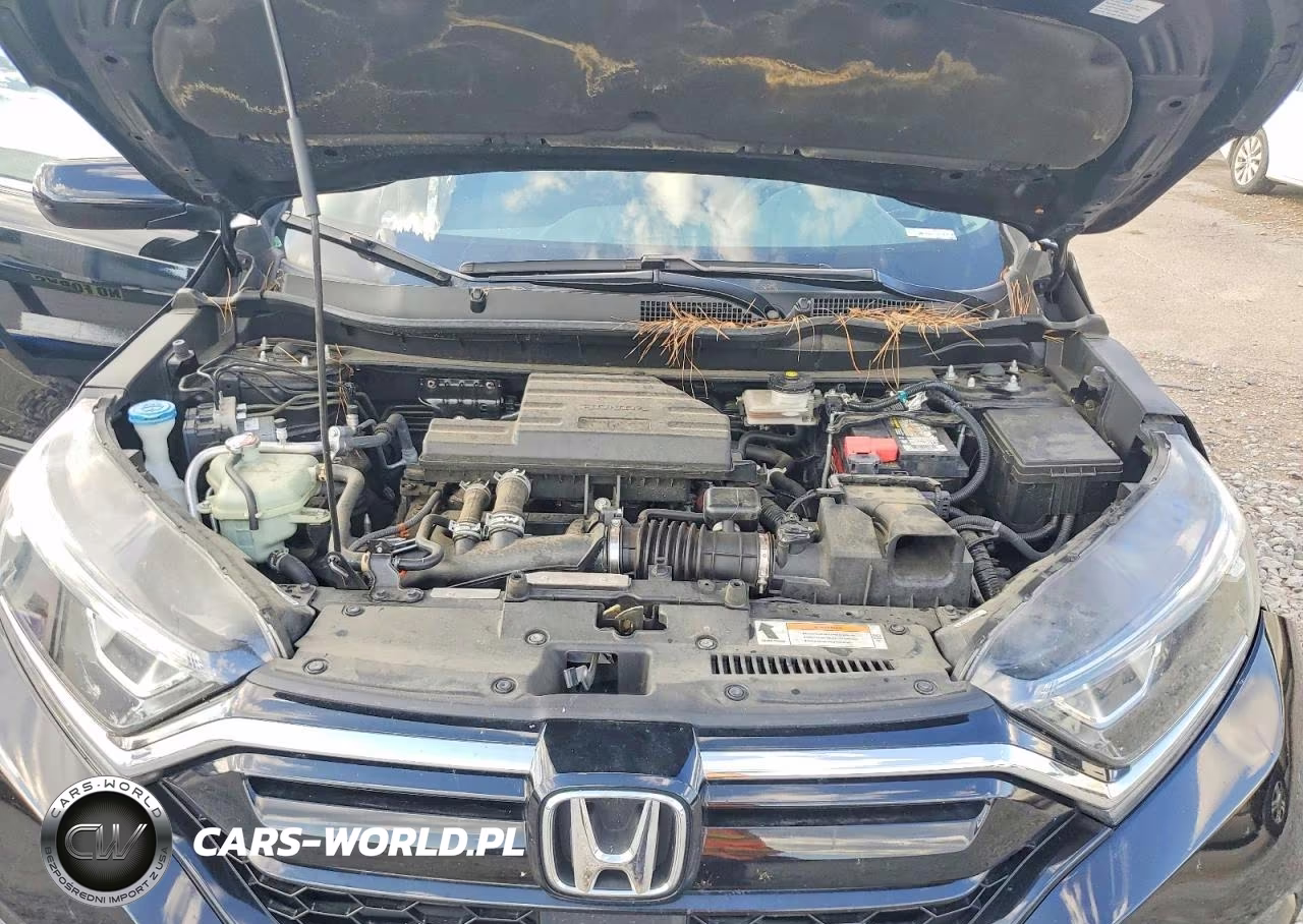 2022 Honda Cr-V Se VIN:7FARW1H75NE003888 - 12