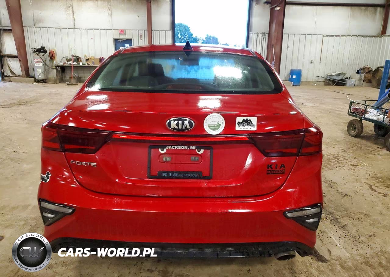 2019 Kia Forte Lxs VIN:3KPF24AD4KE136087 - 6