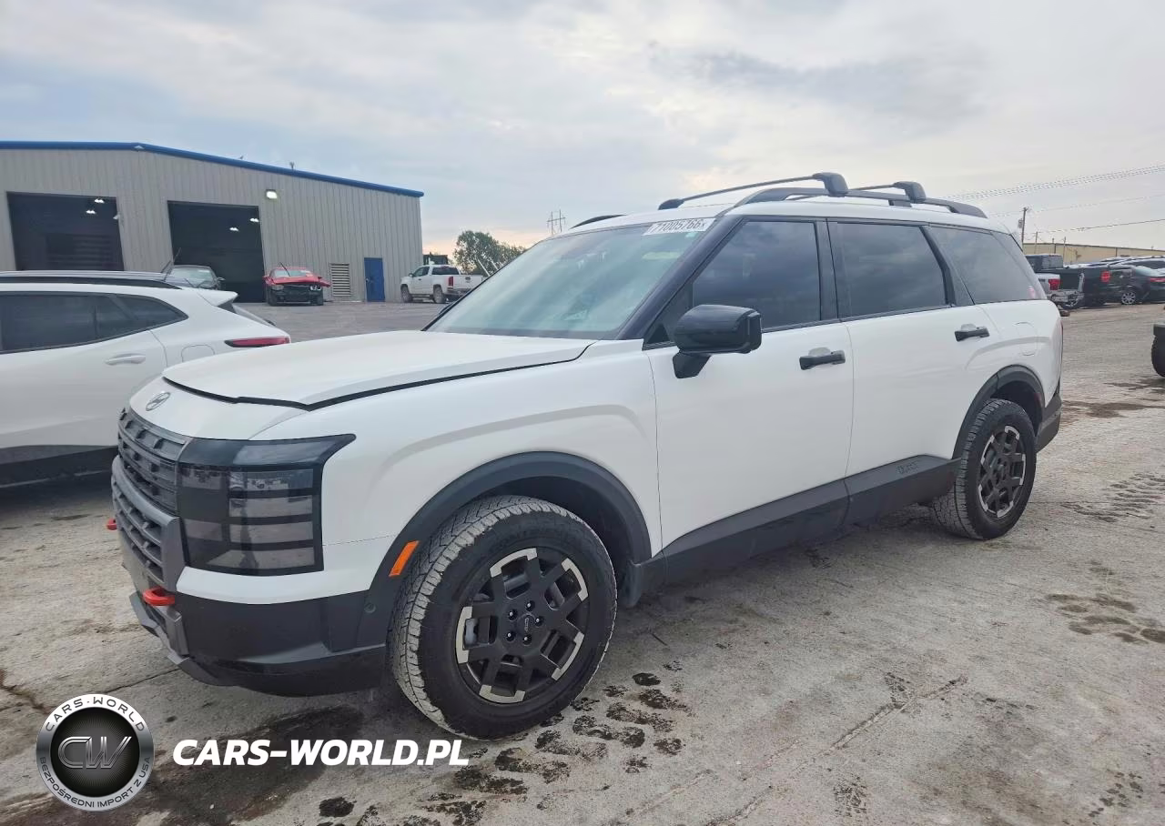 2026 Hyundai Palisade Xrt Pro VIN:KM8RJES21TU069921 - 1