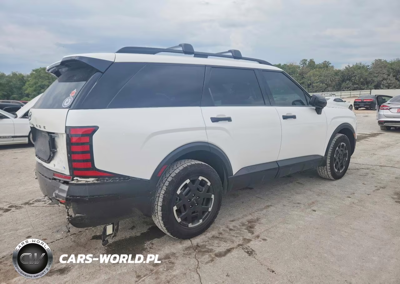 2026 Hyundai Palisade Xrt Pro VIN:KM8RJES21TU069921 - 3