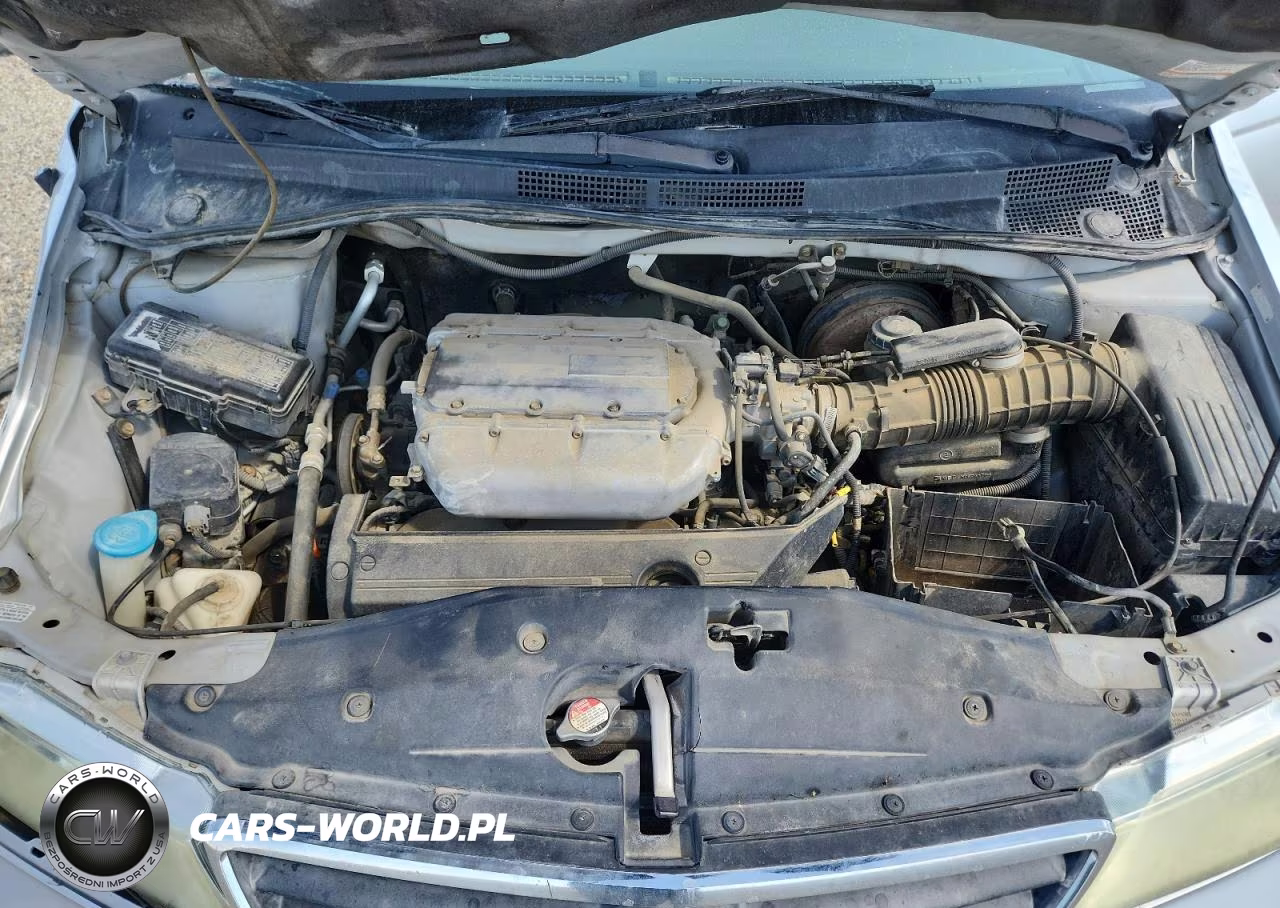 2004 Honda Odyssey Exl VIN:5FNRL18744B026694 - 12