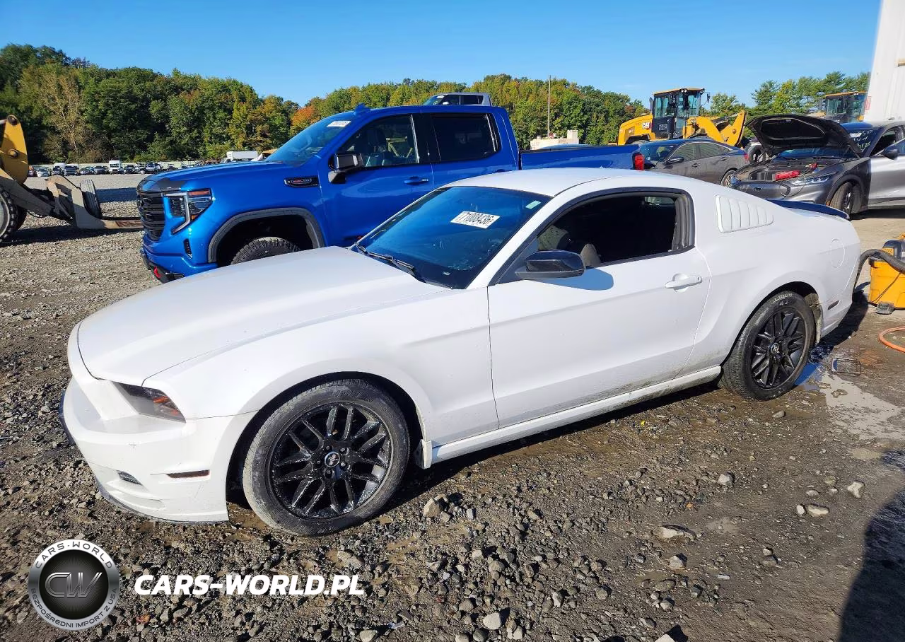2014 Ford Mustang – zdjęcie 1 z 12