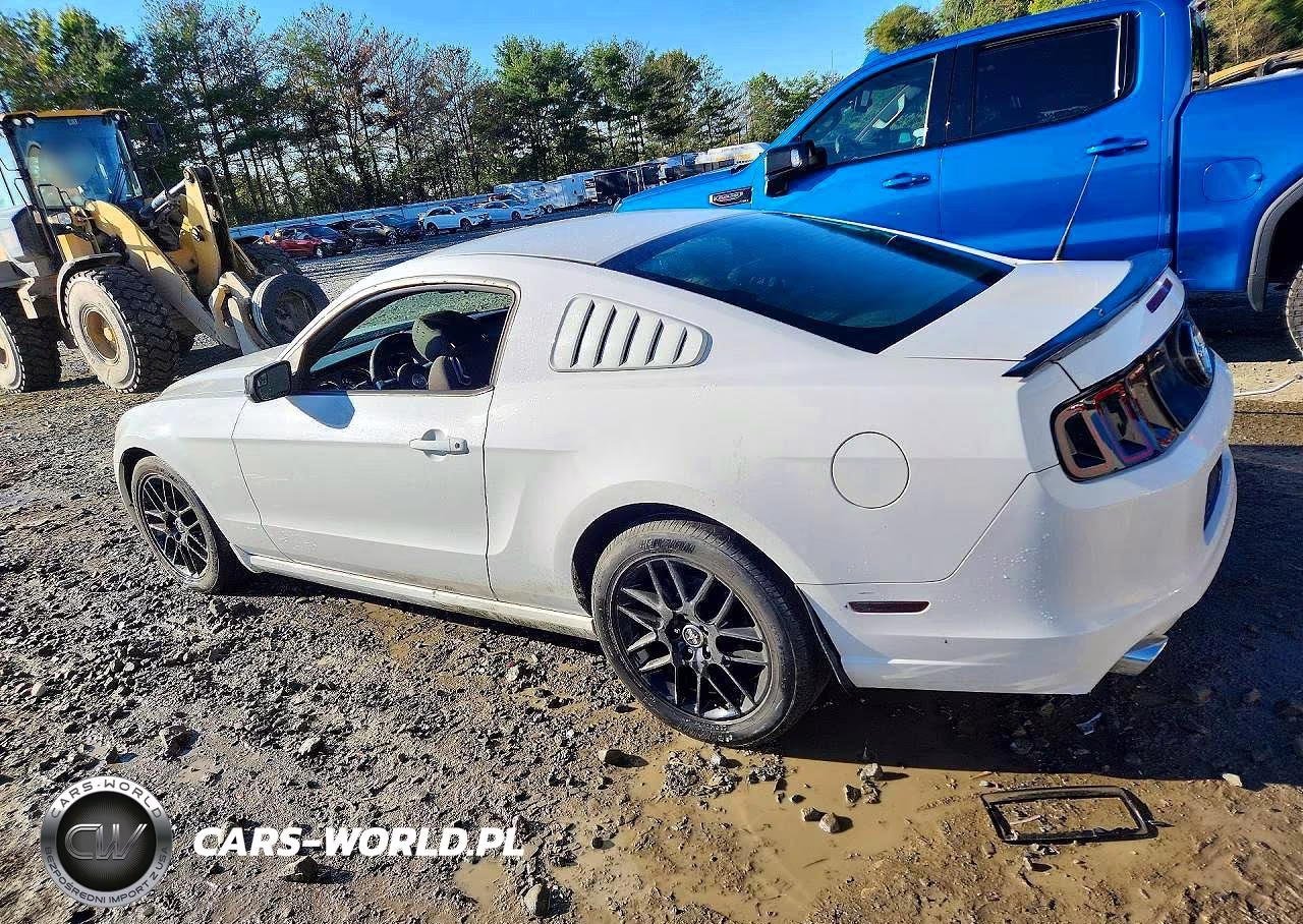 2014 Ford Mustang VIN:1ZVBP8AM0E5282104 - 2