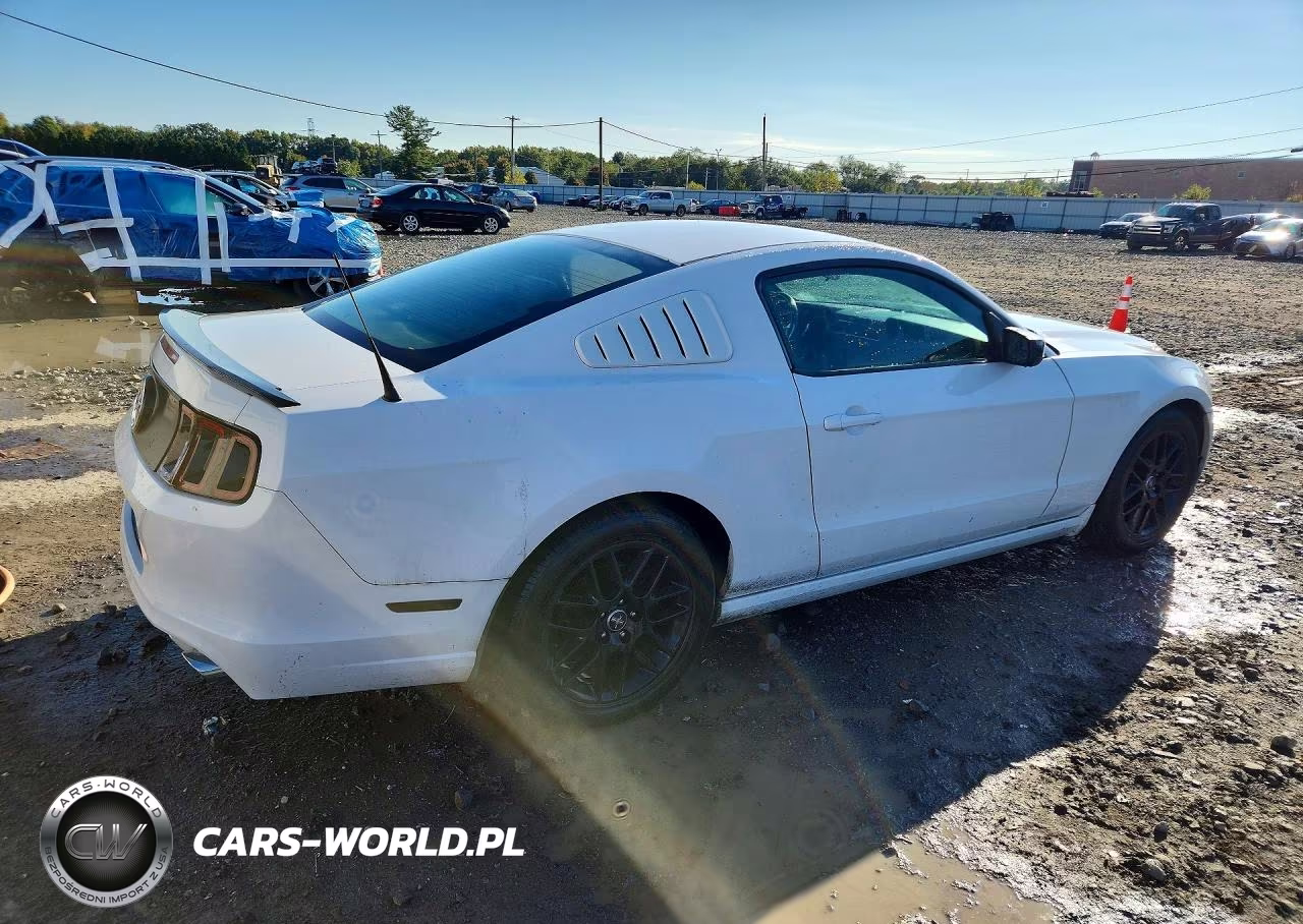 2014 Ford Mustang VIN:1ZVBP8AM0E5282104 - 3