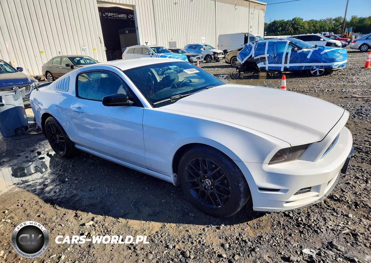 2014 Ford Mustang VIN:1ZVBP8AM0E5282104 - 4