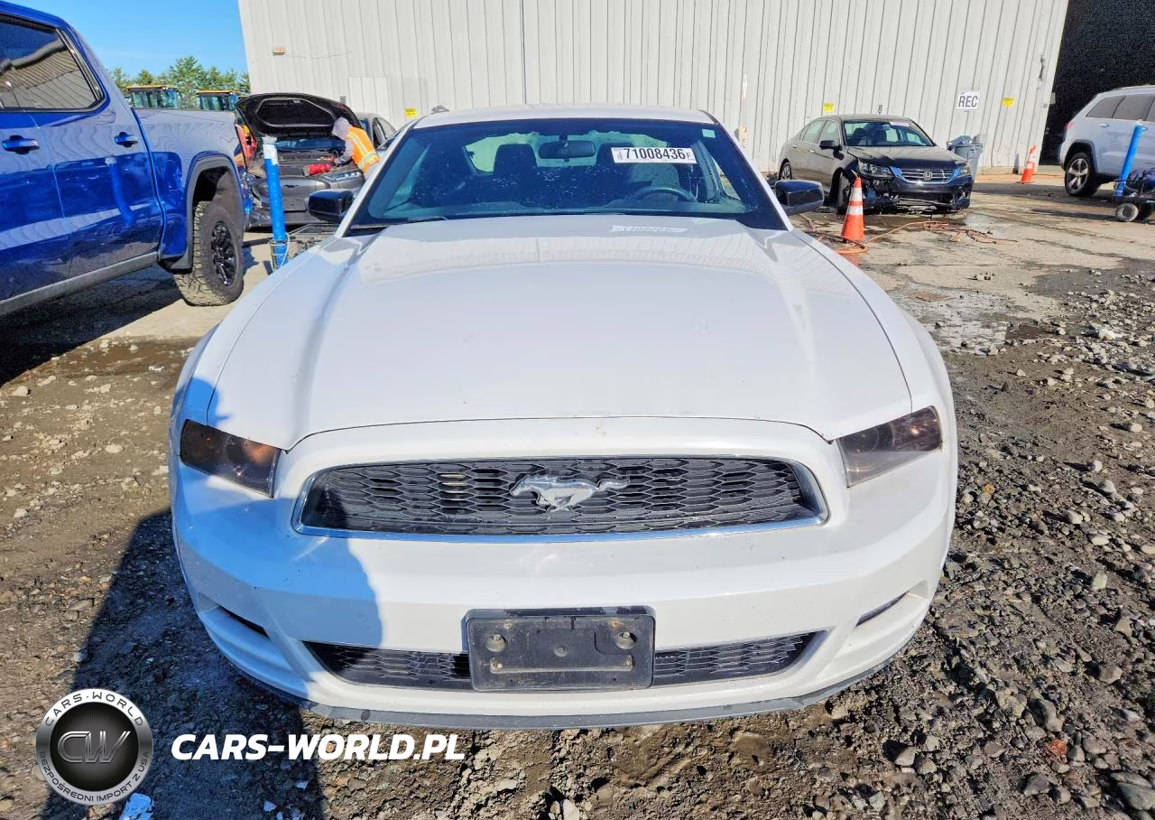 2014 Ford Mustang VIN:1ZVBP8AM0E5282104 - 5