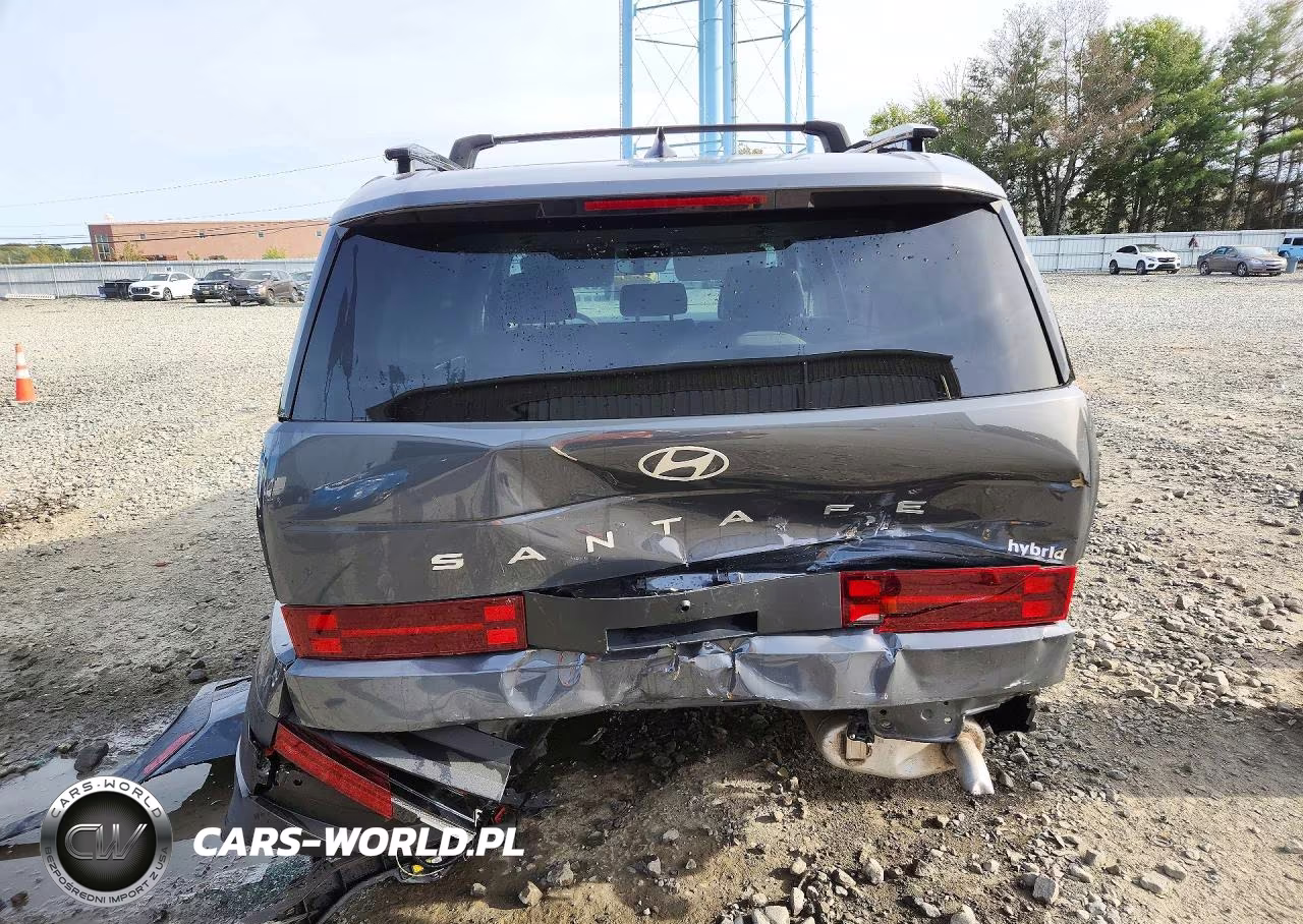 2025 Hyundai Santa Fe Sel VIN:5NMP2DG12SH058158 - 6