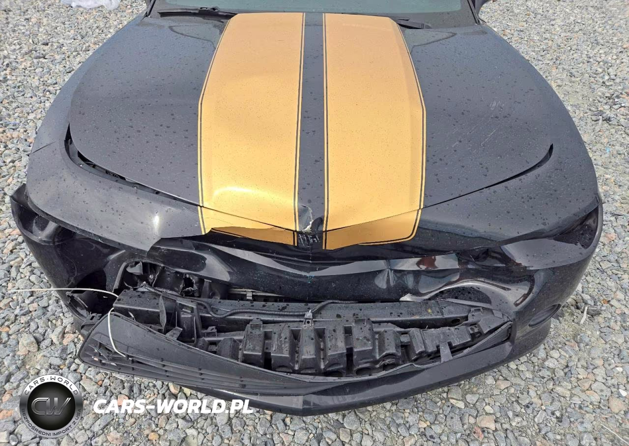 2015 Chevrolet Camaro Ls VIN:2G1FB1E3XF9120781 - 11