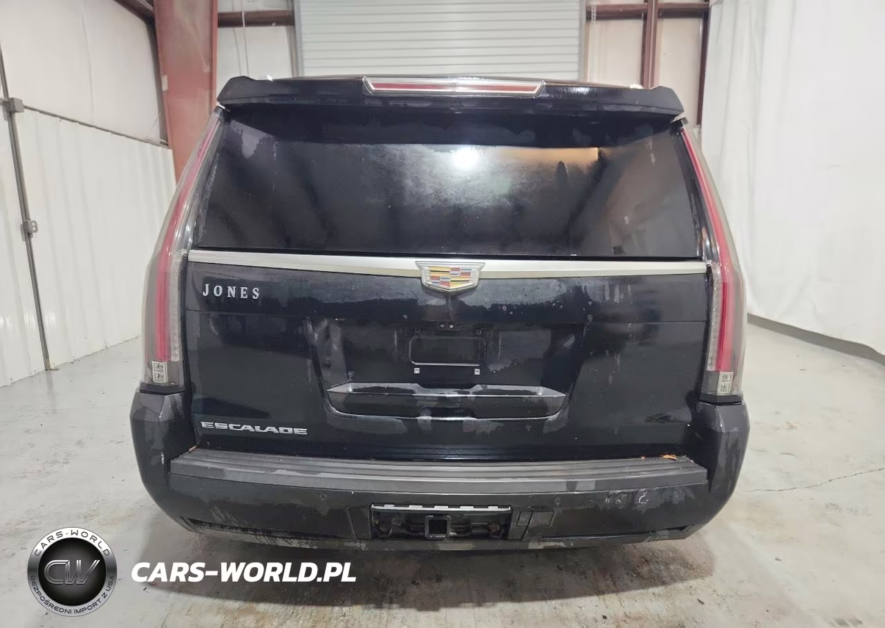 2017 Cadillac Escalade Luxury VIN:1GYS3BKJ7HR304476 - 6