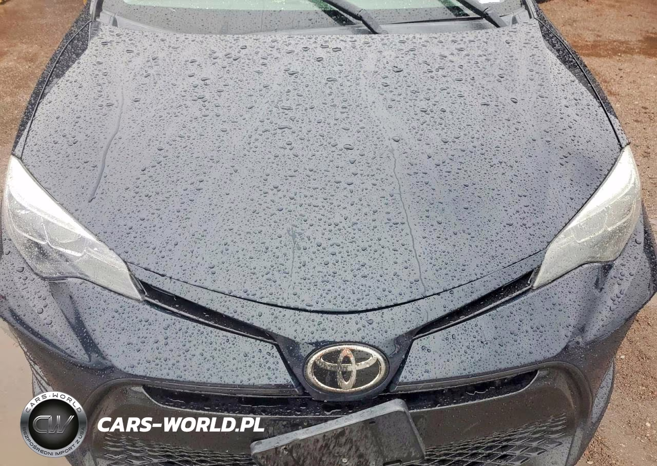 2017 Toyota Corolla Se VIN:2T1BURHE0HC856899 - 11