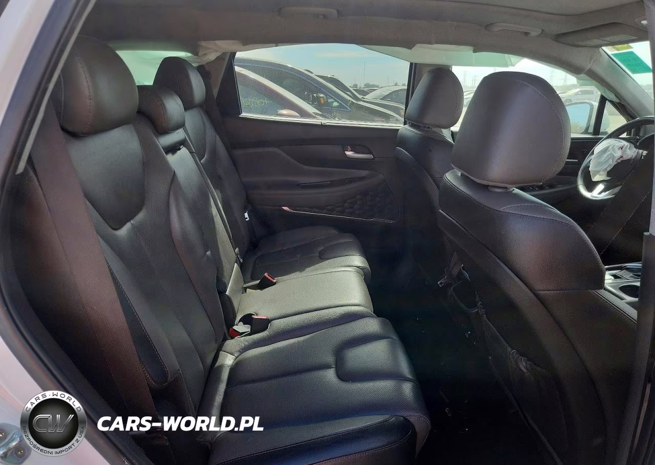 2019 Hyundai Santa Fe Ultimate 2.4L VIN:5NMS53AD7KH036154 - 10