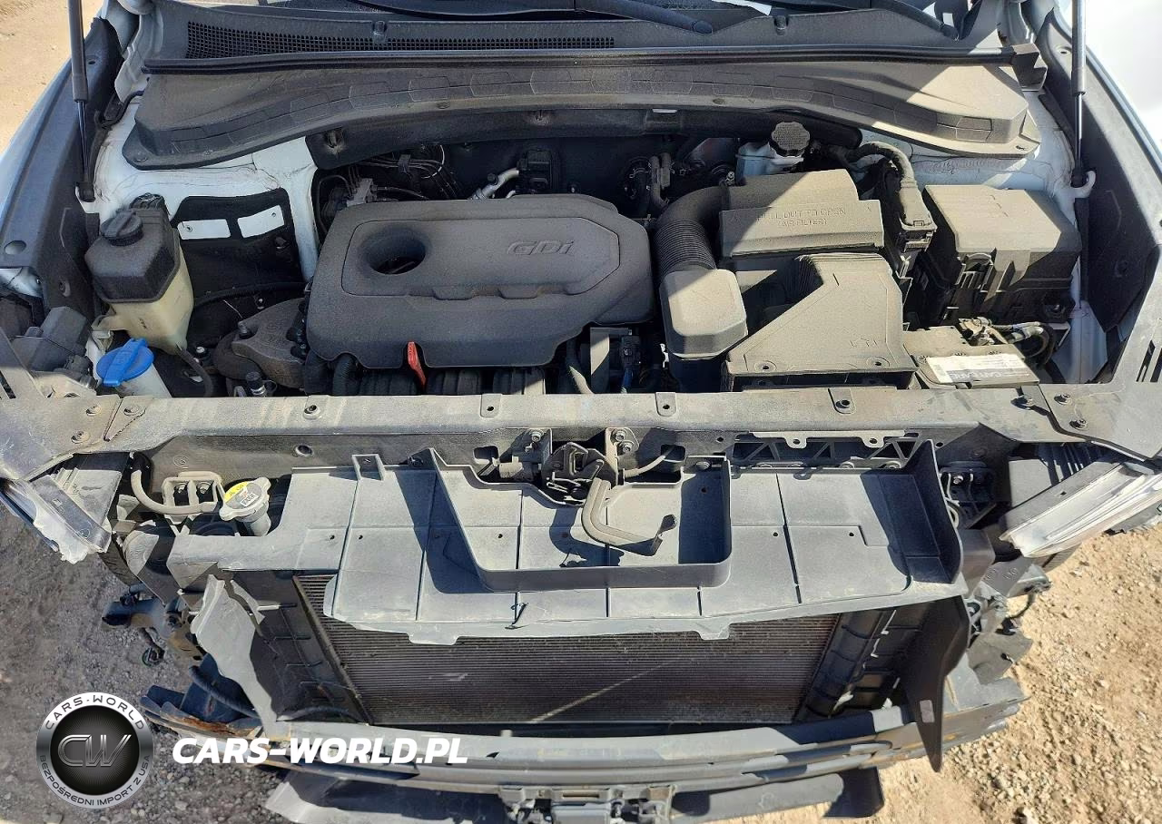 2019 Hyundai Santa Fe Ultimate 2.4L VIN:5NMS53AD7KH036154 - 11