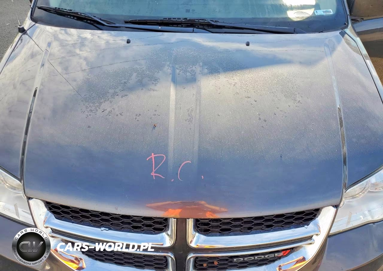 2019 Dodge Grand Caravan Se VIN:2C4RDGBG9KR501167 - 12