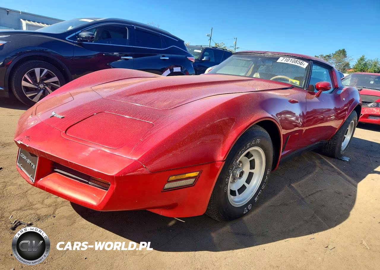 1981 Chevrolet Corvette VIN:1G1AY8766B5100320 - 1