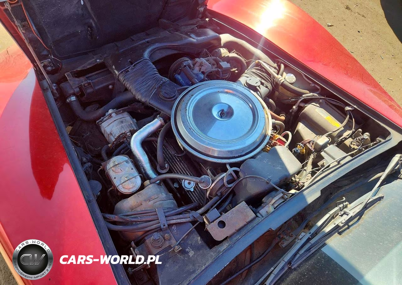 1981 Chevrolet Corvette VIN:1G1AY8766B5100320 - 11