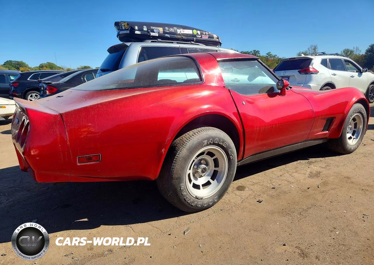 1981 Chevrolet Corvette VIN:1G1AY8766B5100320 - 3