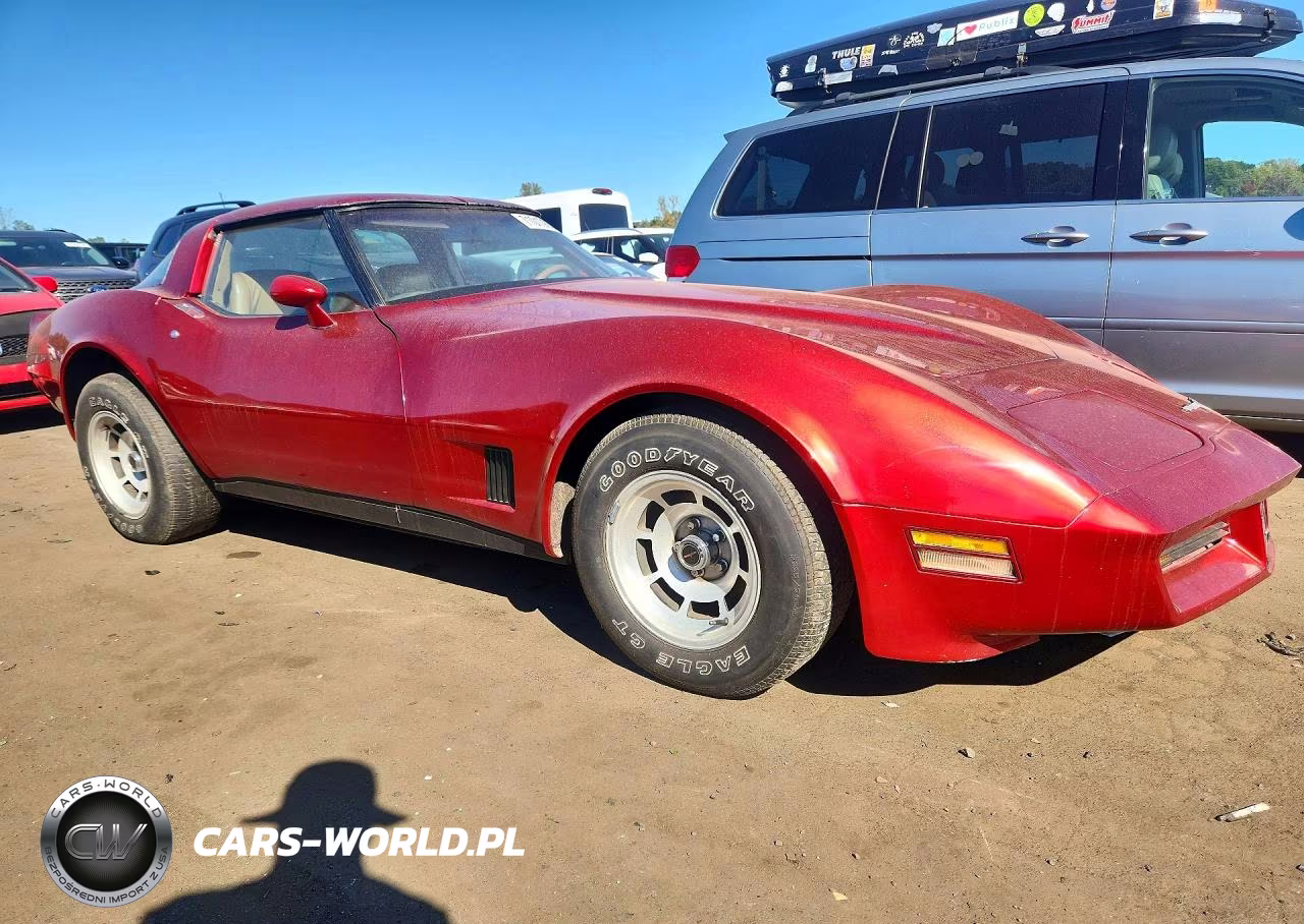 1981 Chevrolet Corvette VIN:1G1AY8766B5100320 - 4