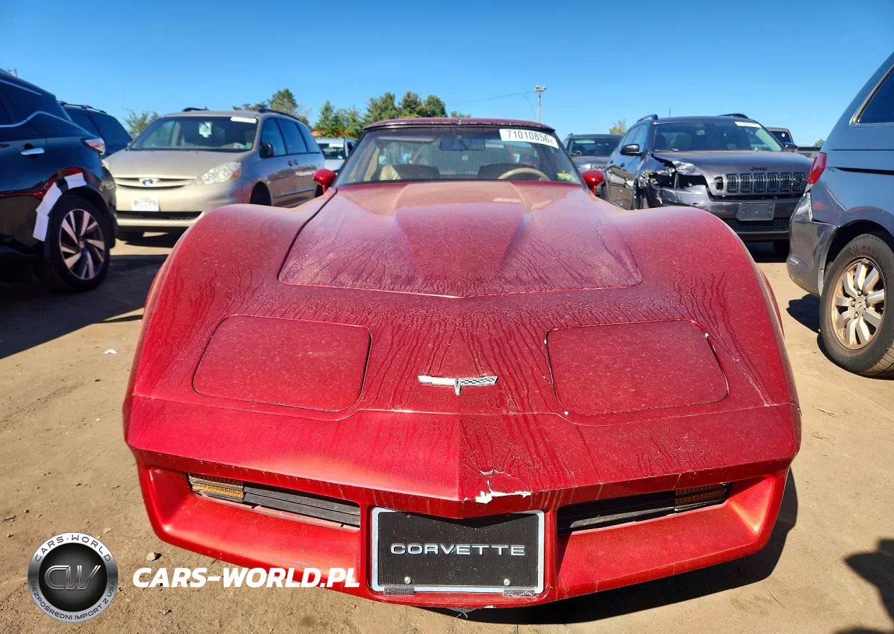 1981 Chevrolet Corvette VIN:1G1AY8766B5100320 - 5
