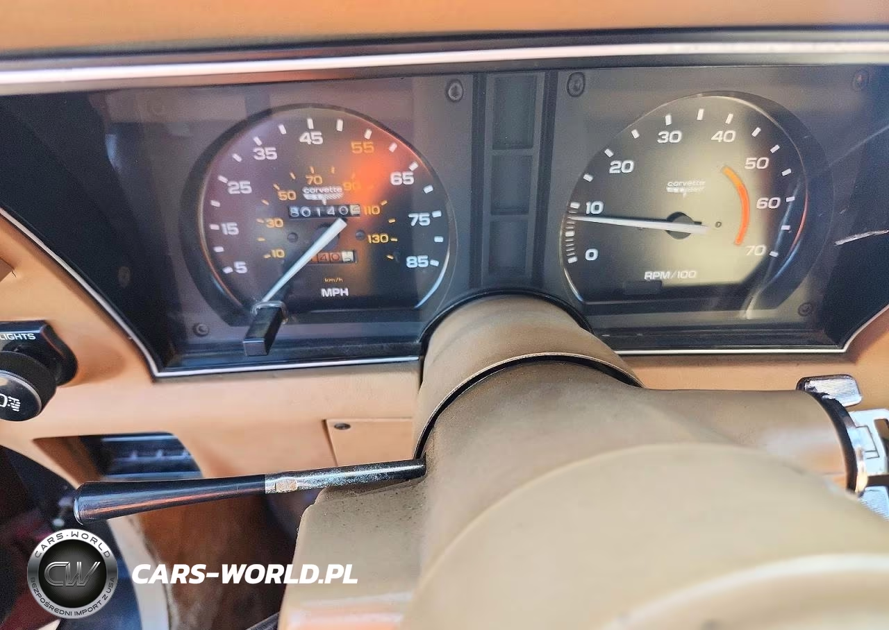 1981 Chevrolet Corvette VIN:1G1AY8766B5100320 - 9