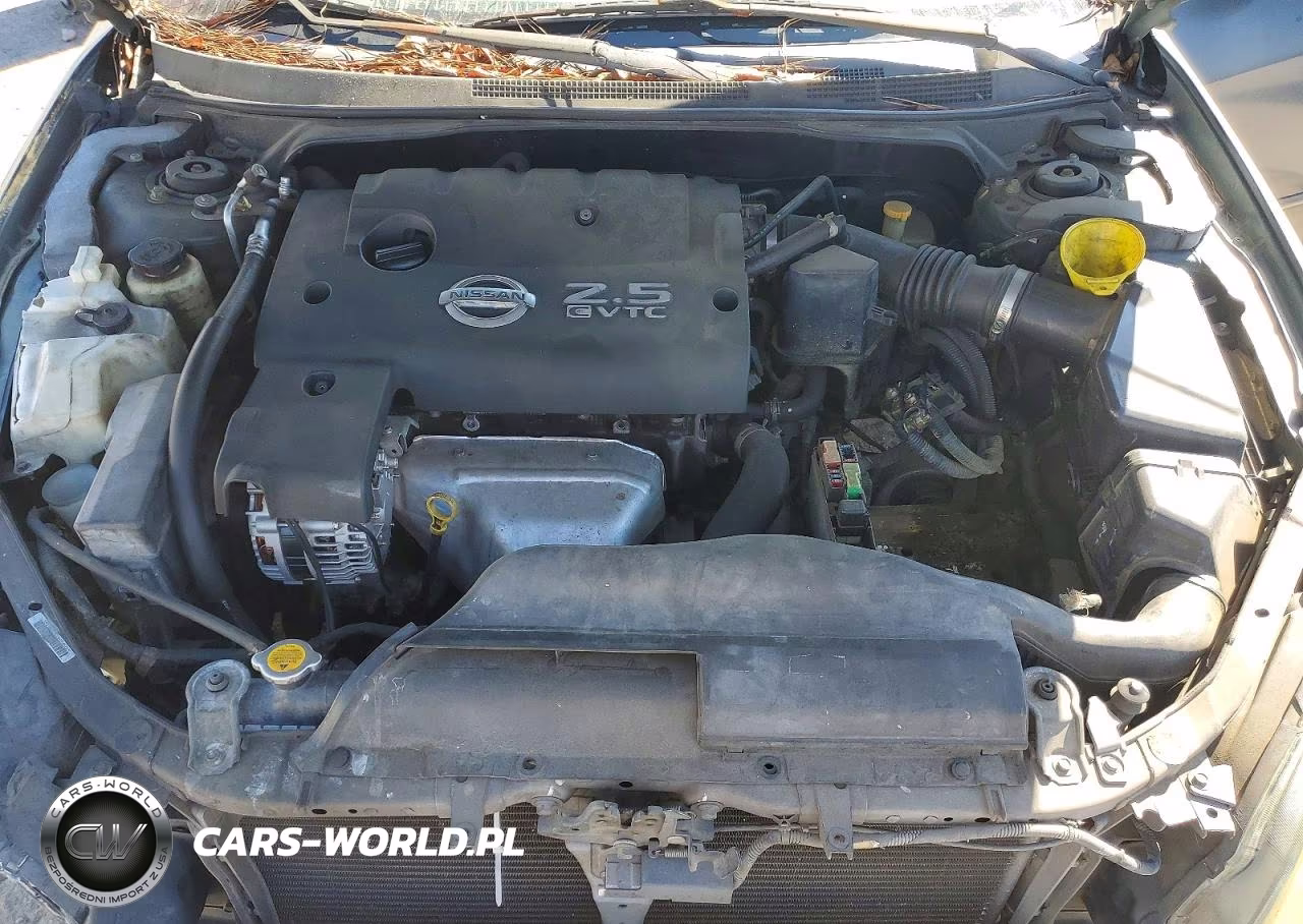 2002 Nissan Altima VIN:1N4AL11D32C141560 - 11