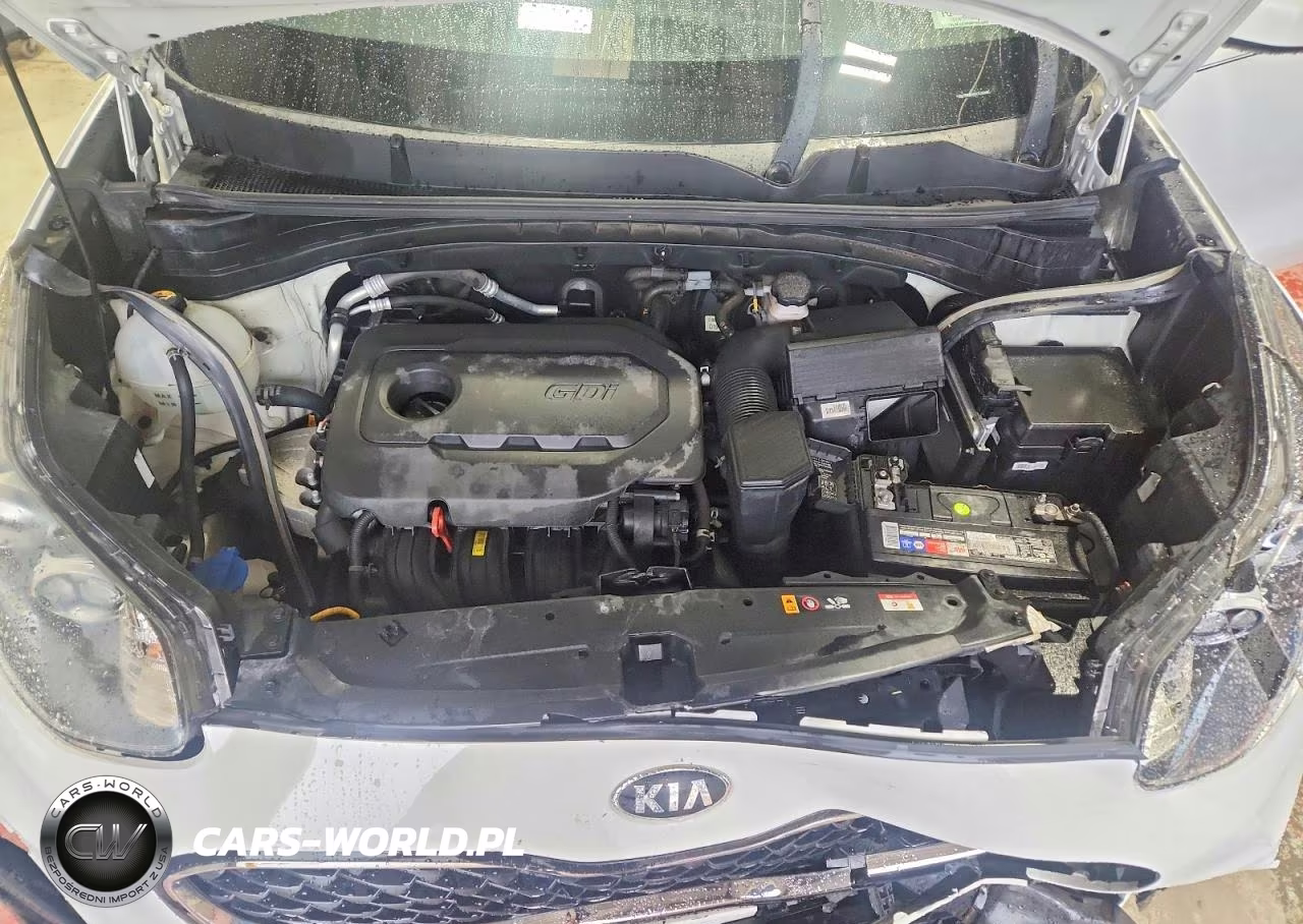 2020 Kia Sportage Lx VIN:KNDPM3AC7L7631935 - 11