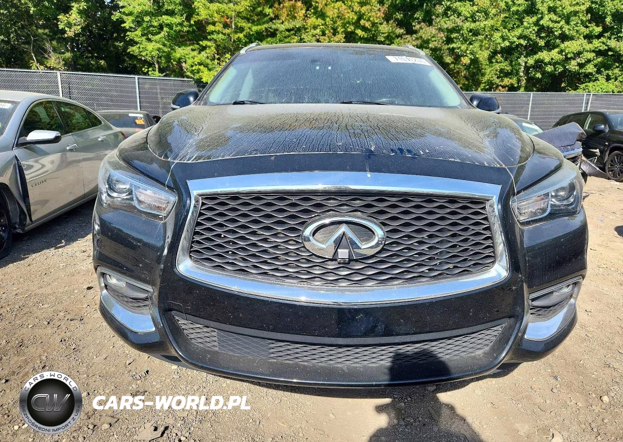 2019 Infiniti Qx60 Luxe VIN:5N1DL0MN1KC565353 - 5