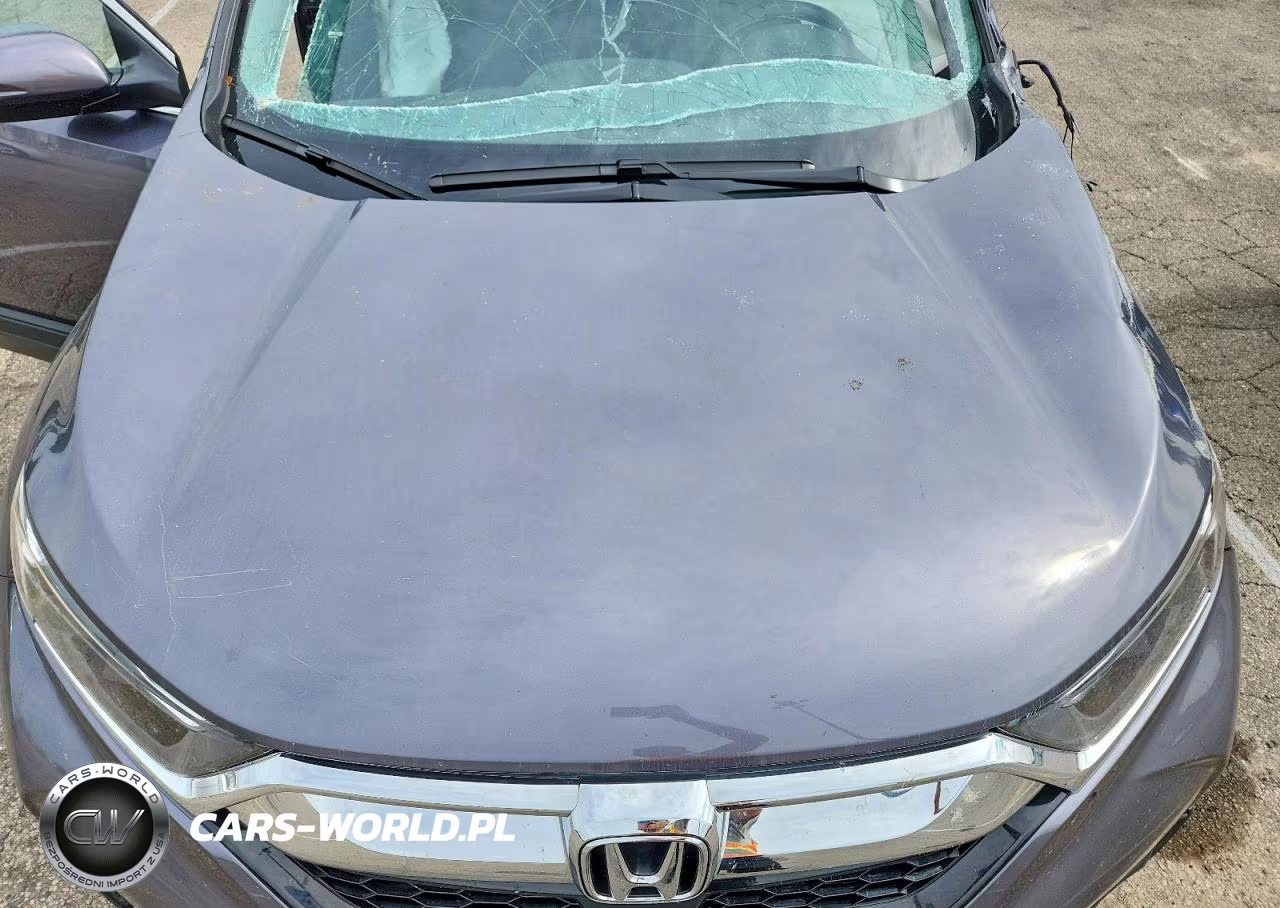 2019 Honda Cr-V Exl VIN:5J6RW2H85KL017562 - 12