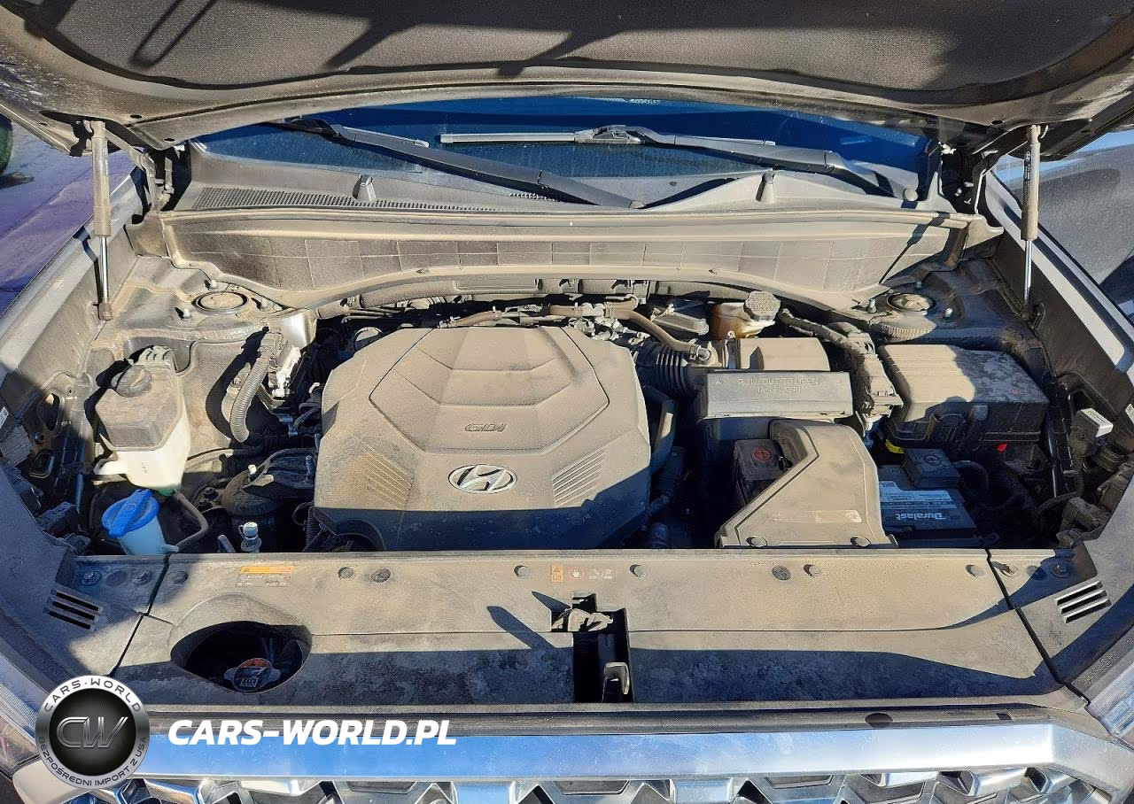2020 Hyundai Palisade Sel VIN:KM8R4DHE5LU165246 - 11