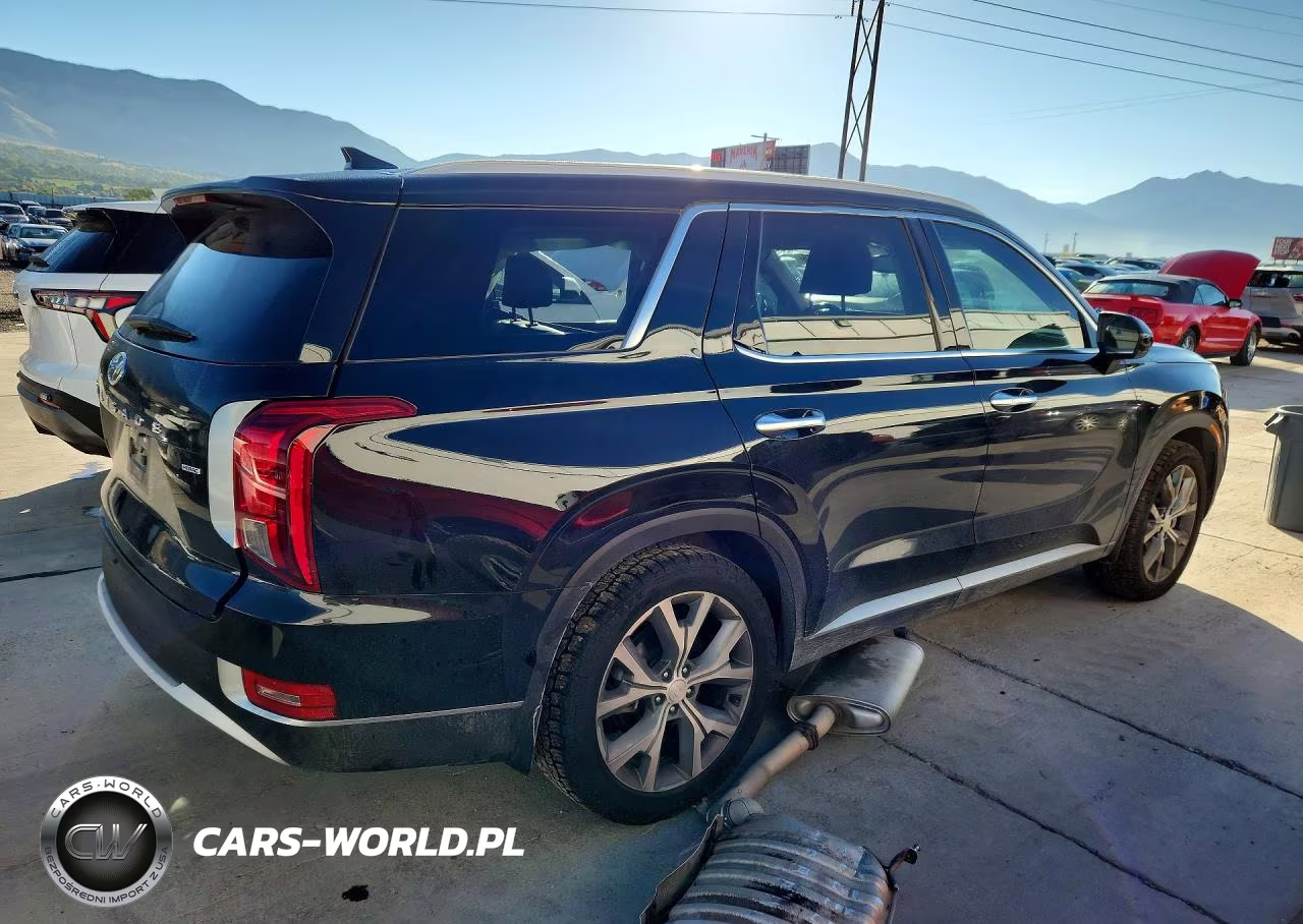 2020 Hyundai Palisade Sel VIN:KM8R4DHE5LU165246 - 3