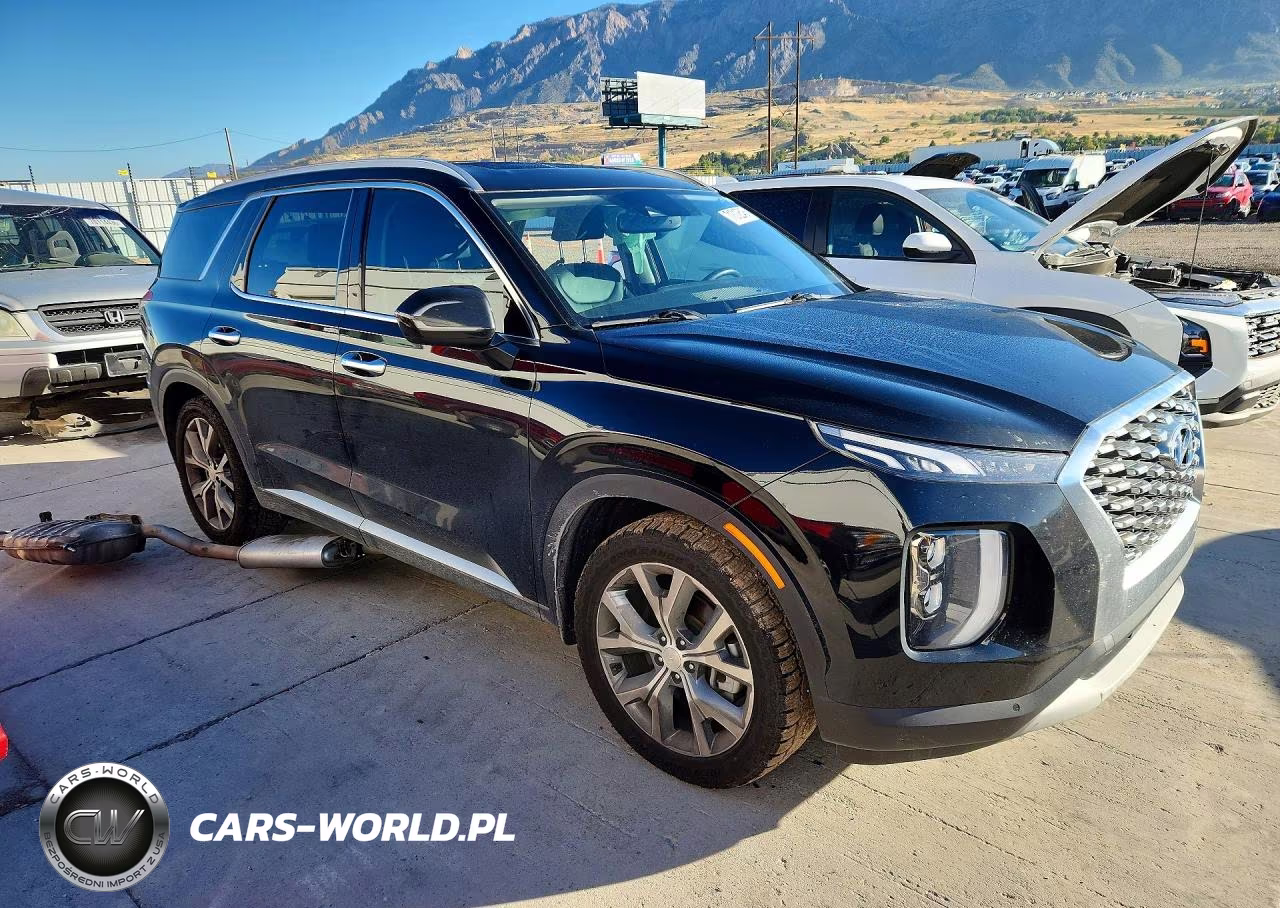 2020 Hyundai Palisade Sel VIN:KM8R4DHE5LU165246 - 4