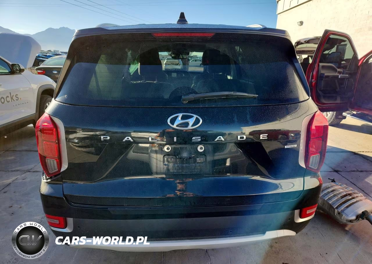 2020 Hyundai Palisade Sel VIN:KM8R4DHE5LU165246 - 6
