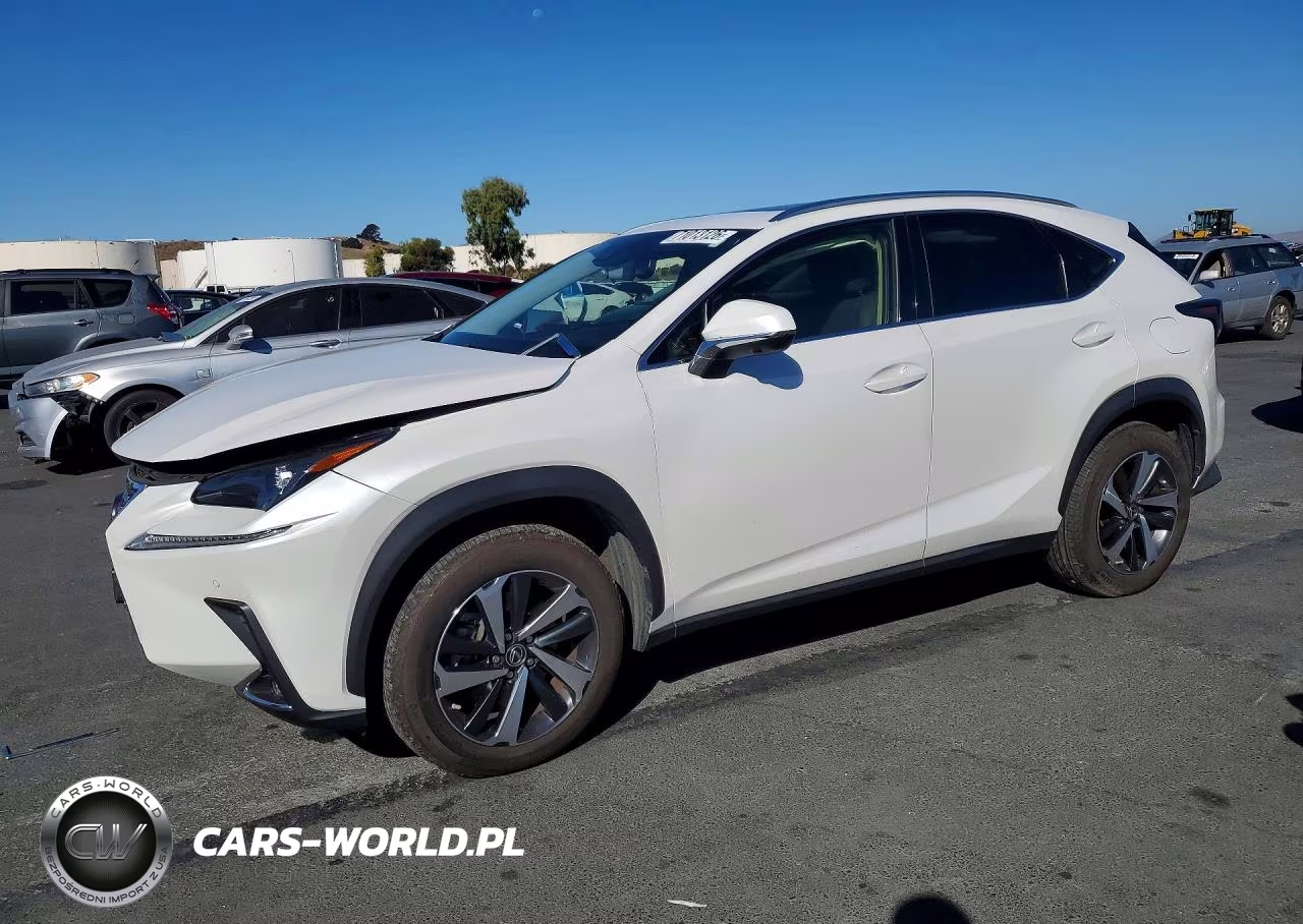 2021 Lexus Nx 300 Base VIN:JTJGARDZXM5031836 - 1