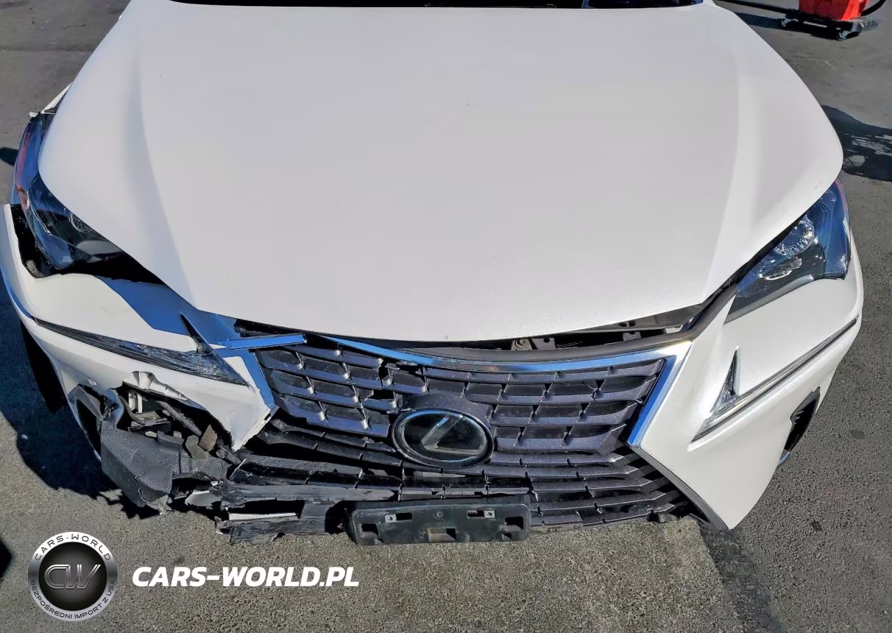2021 Lexus Nx 300 Base VIN:JTJGARDZXM5031836 - 12